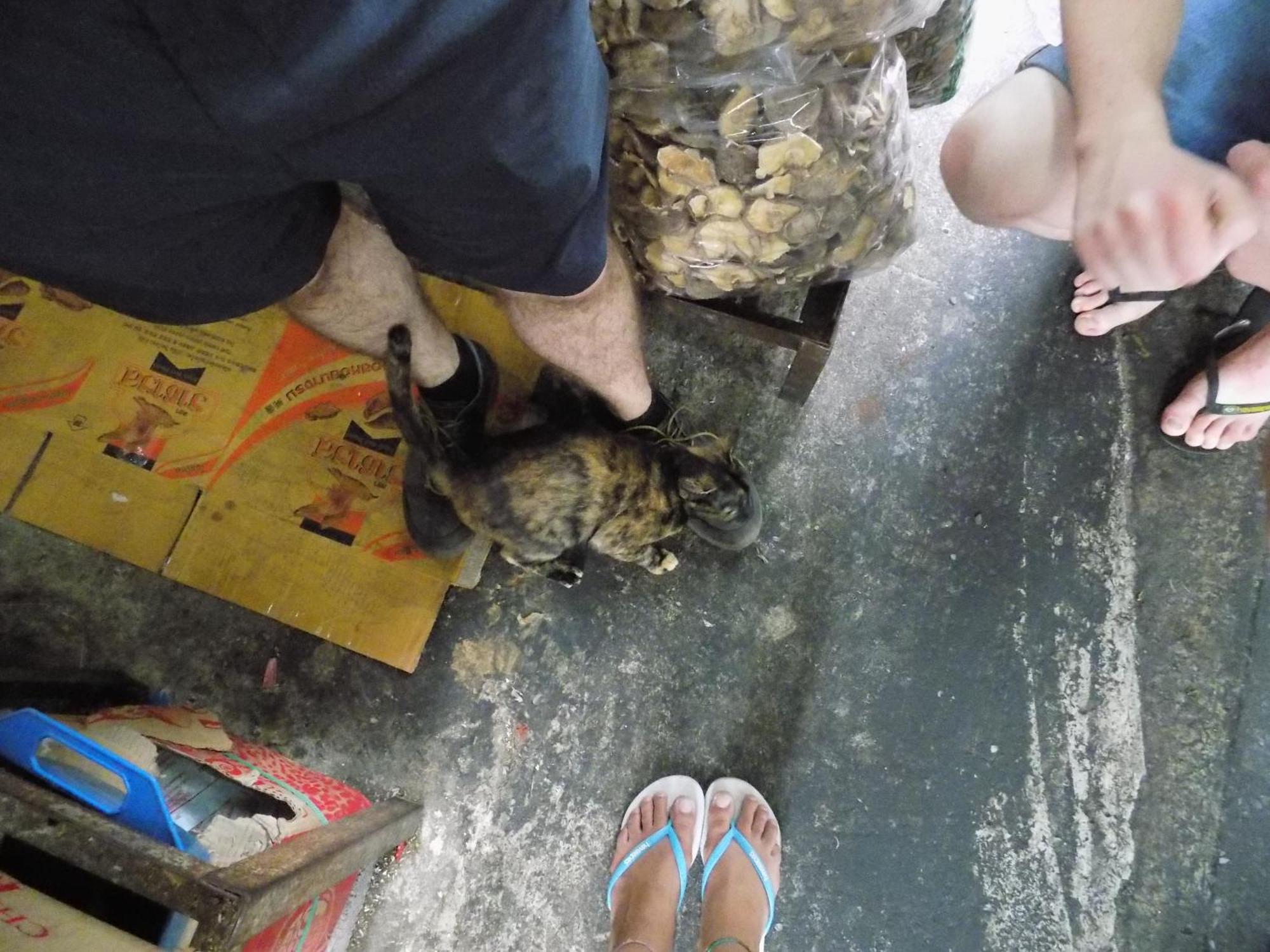 The Oasis Hostel (Adults Only) Bangkok Eksteriør bilde